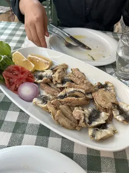 Yakamoz Avlu Restaurant resimleri