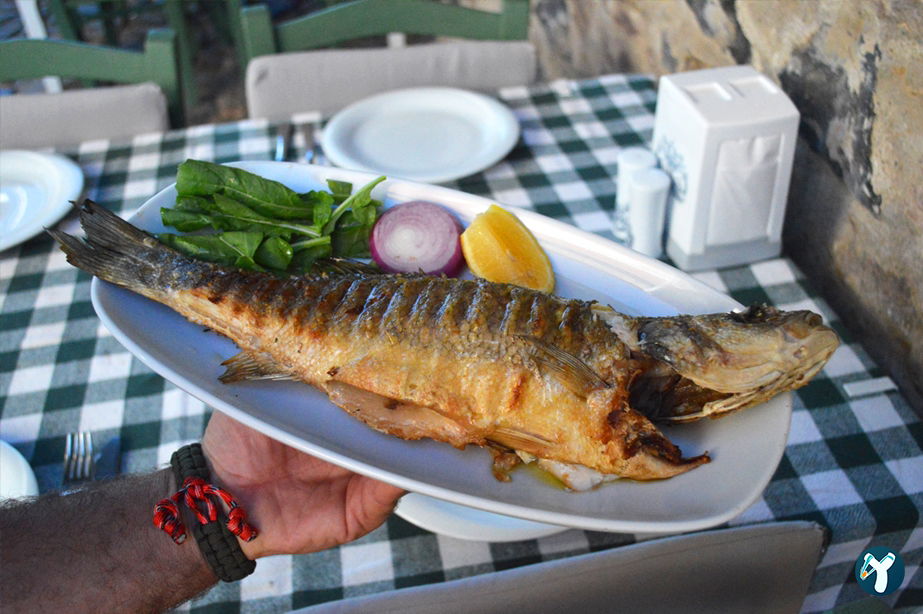Yakamoz Avlu Restaurant
