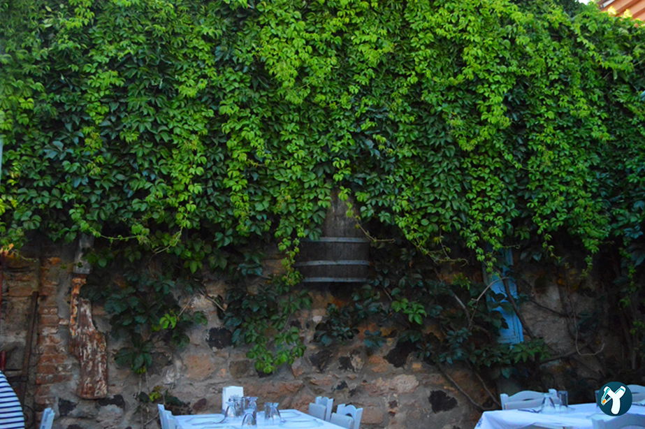 Yakamoz Avlu Restaurant