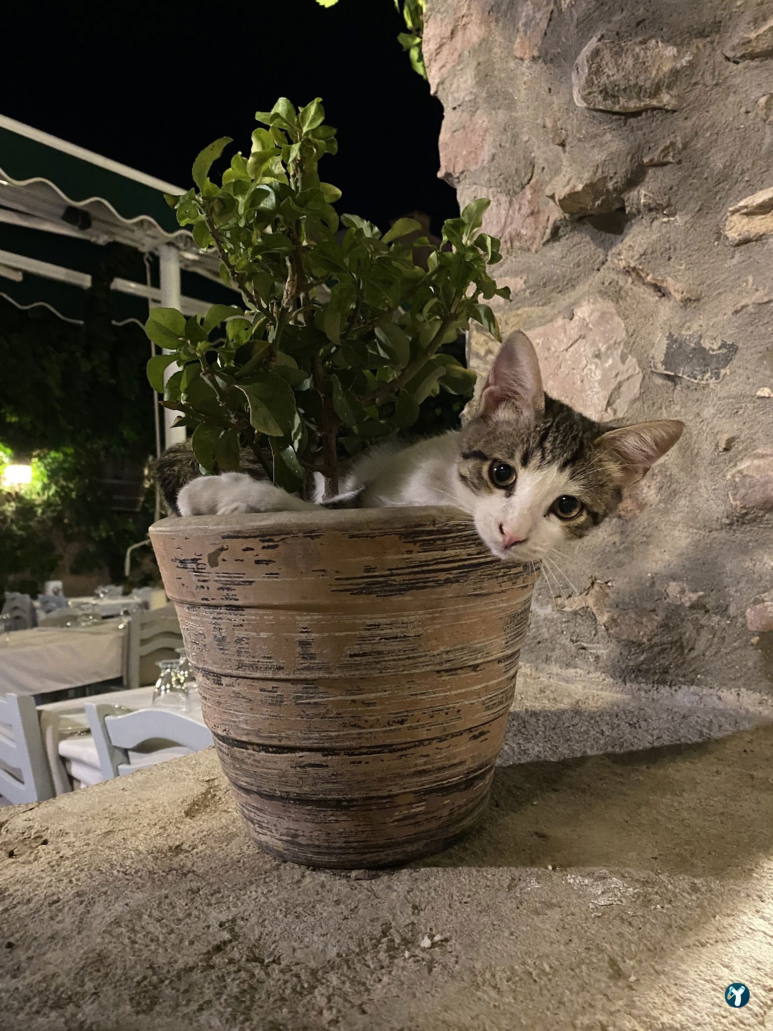 Yakamoz Avlu Restaurant