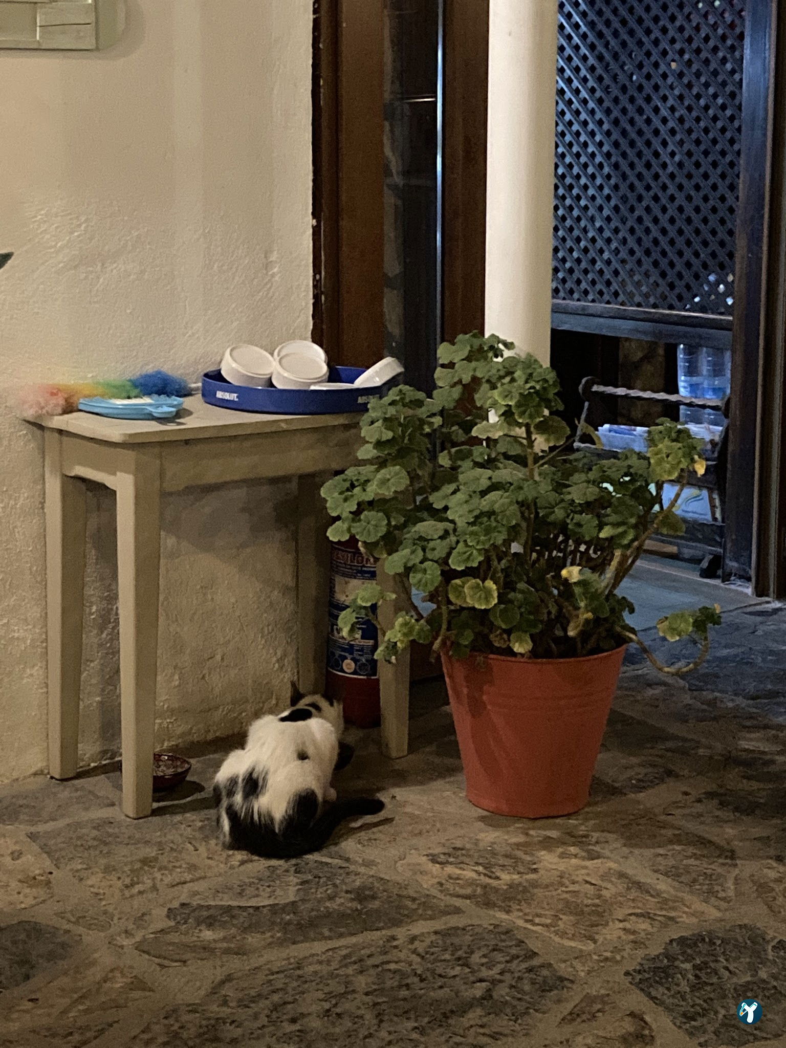 Yakamoz Avlu Restaurant