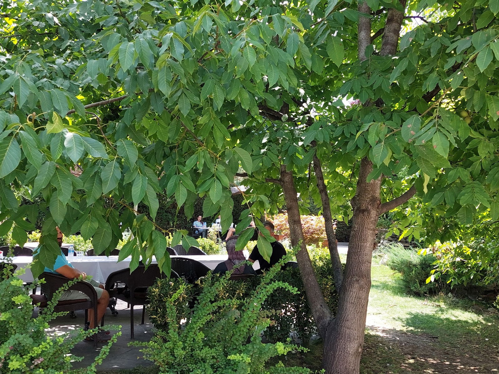 Delta Macera Sport & Cafe