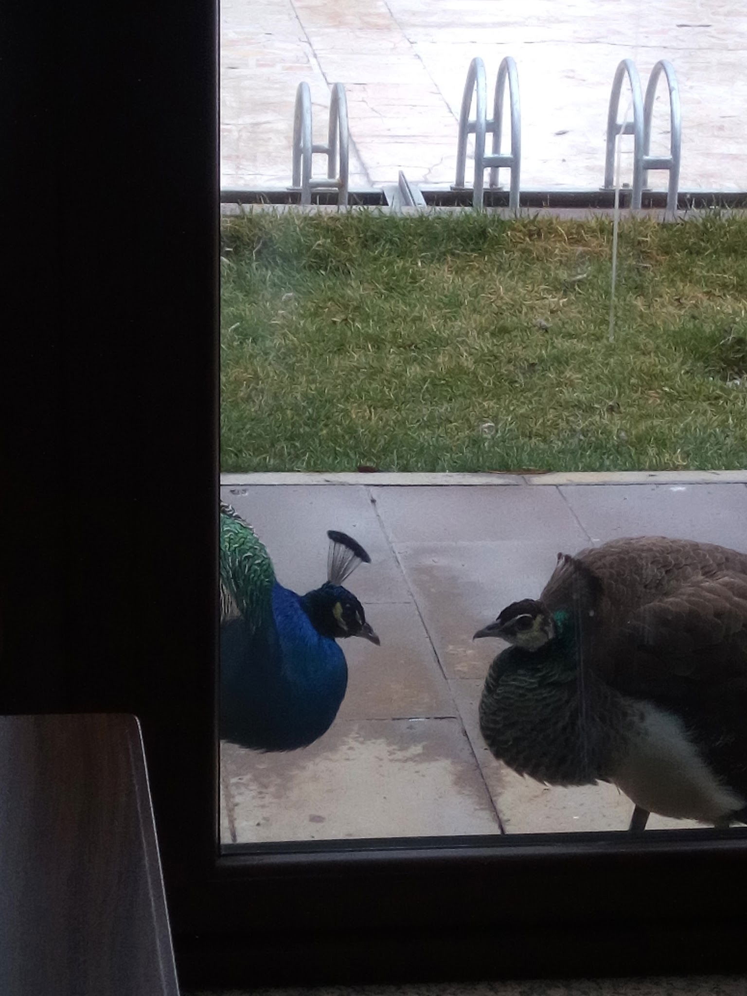 Delta Macera Sport & Cafe