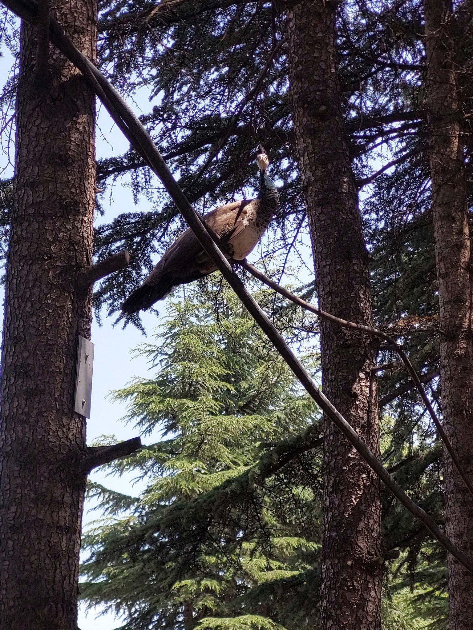 Delta Macera Sport & Cafe