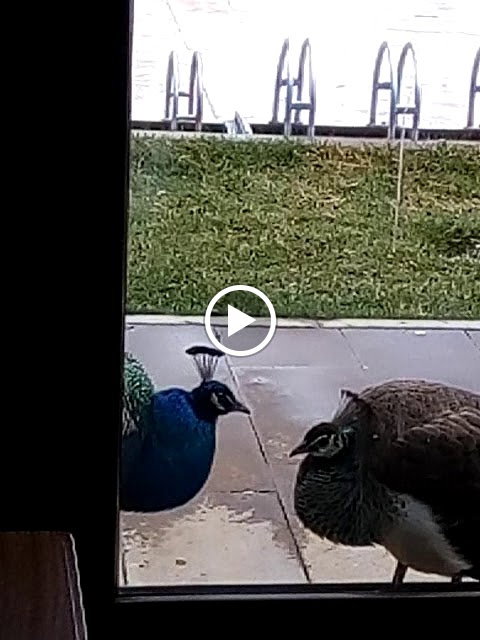 Delta Macera Sport & Cafe