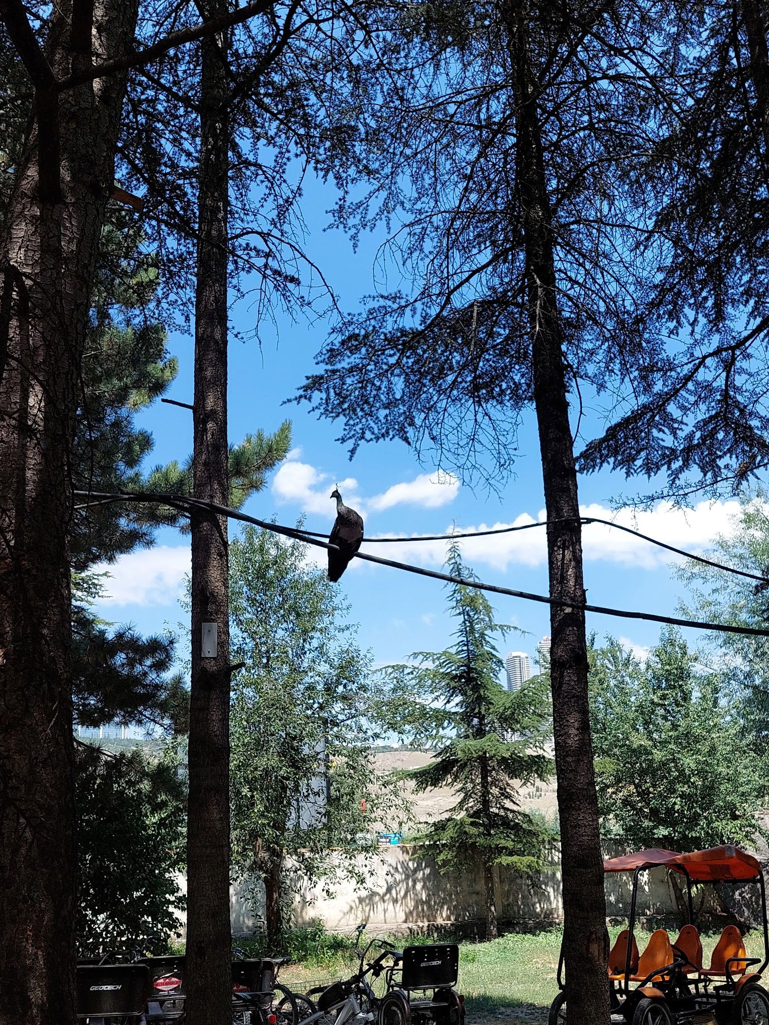 Delta Macera Sport & Cafe