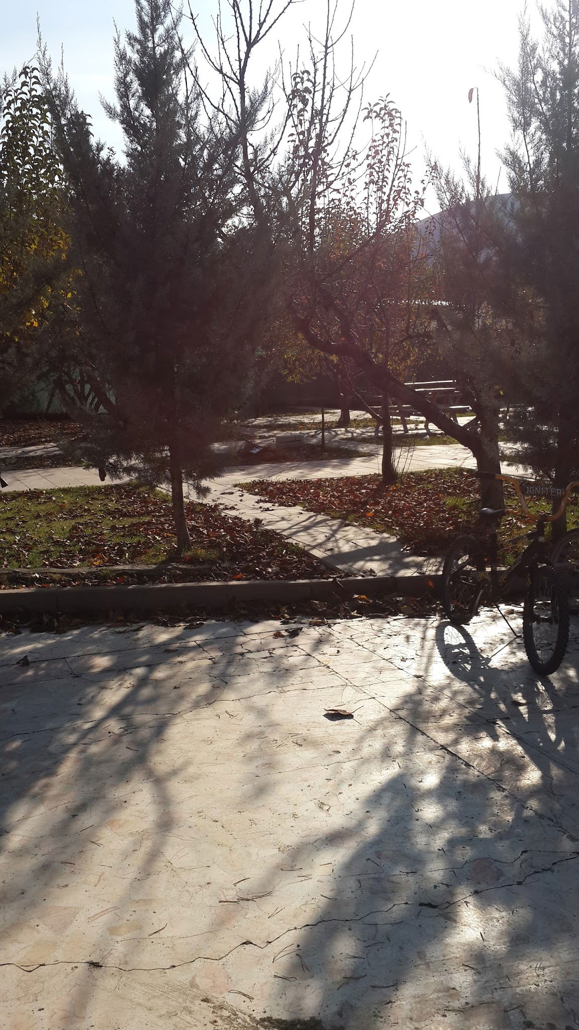 Delta Macera Sport & Cafe