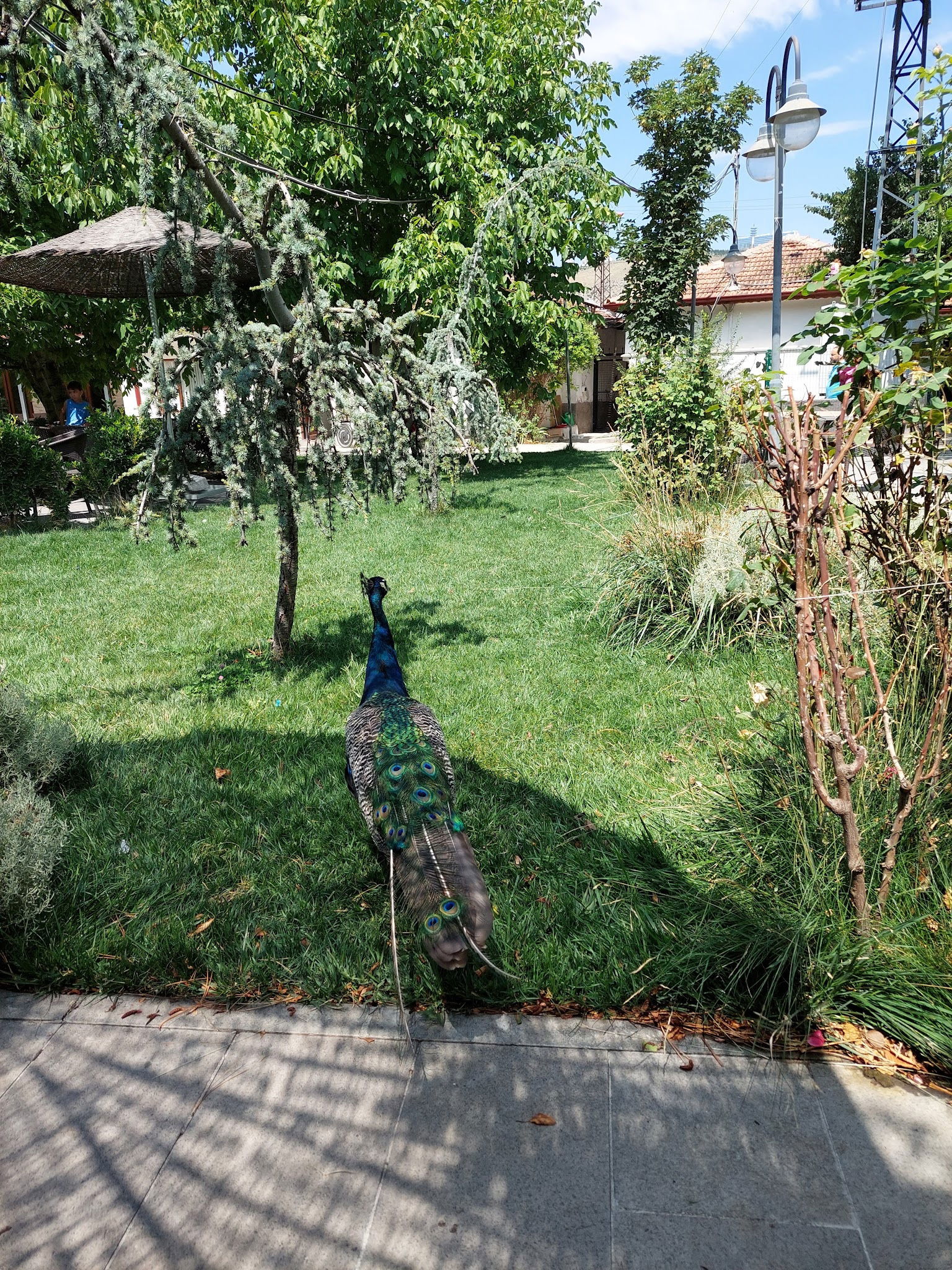 Delta Macera Sport & Cafe