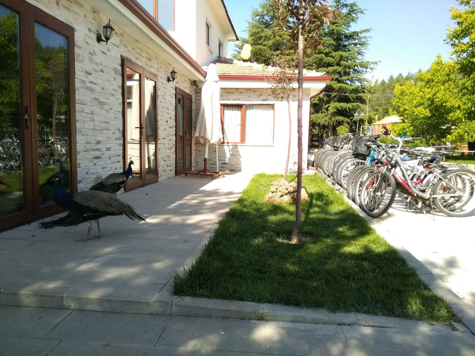 Delta Macera Sport & Cafe