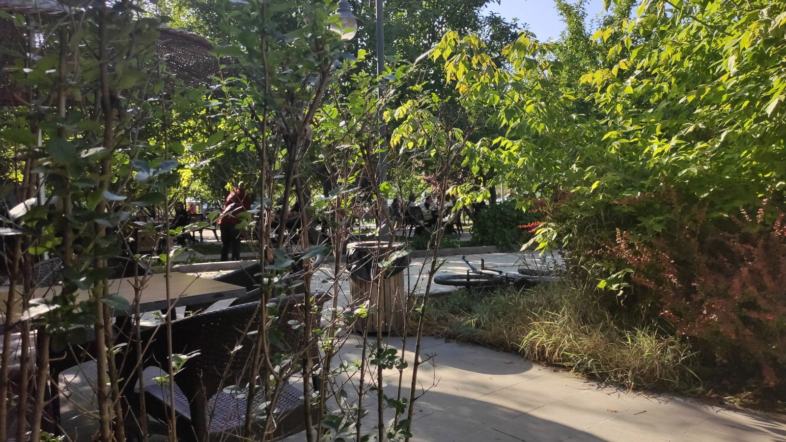 Delta Macera Sport & Cafe