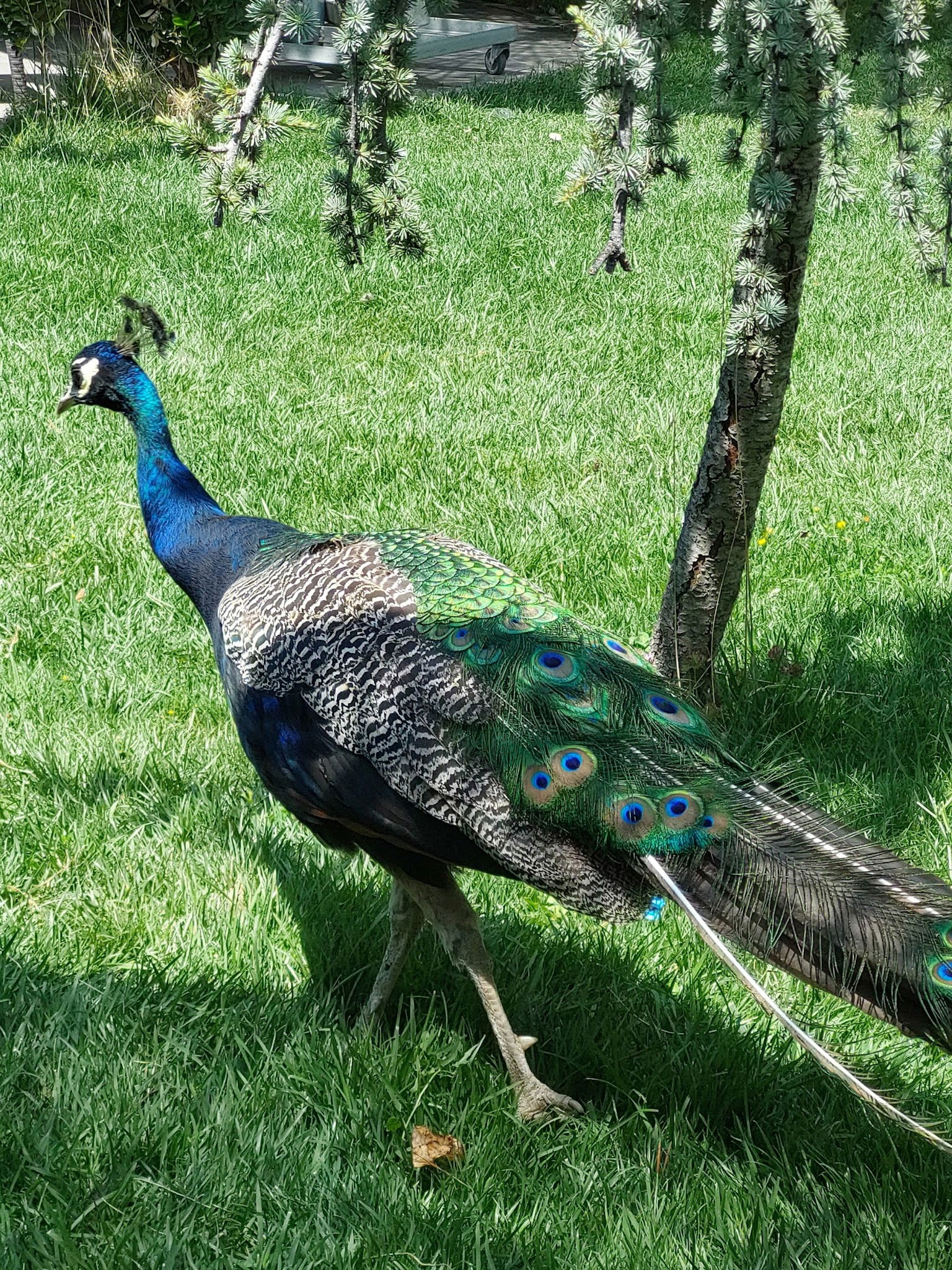 Delta Macera Sport & Cafe