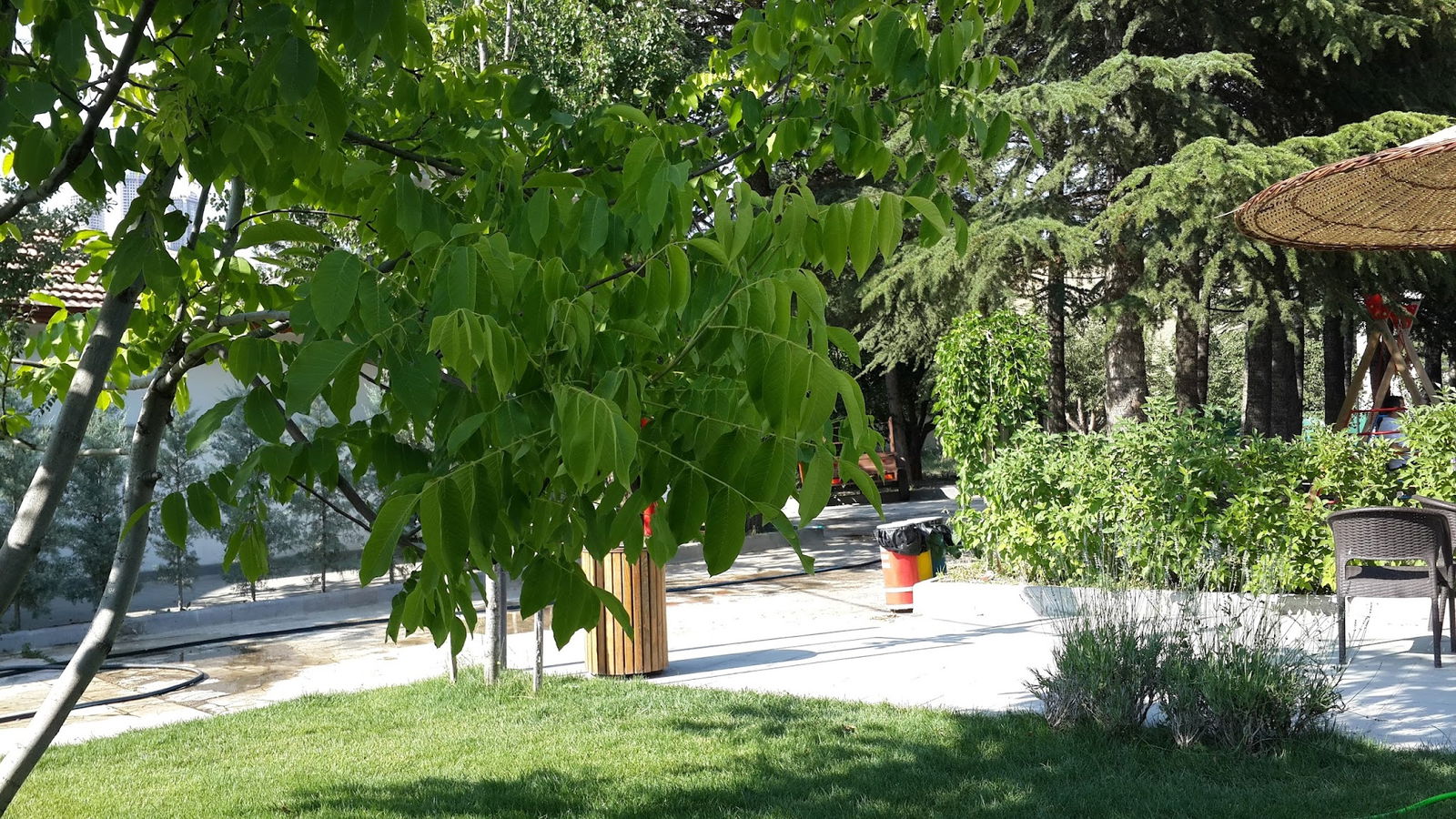 Delta Macera Sport & Cafe