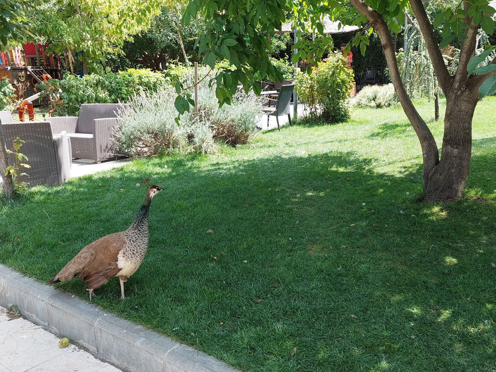 Delta Macera Sport & Cafe