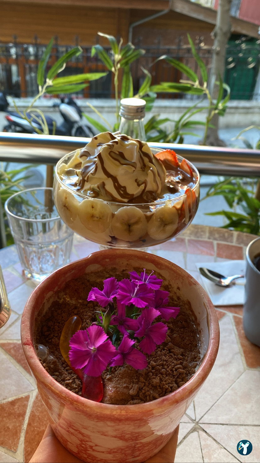 Humaliva Chocolate Coffee