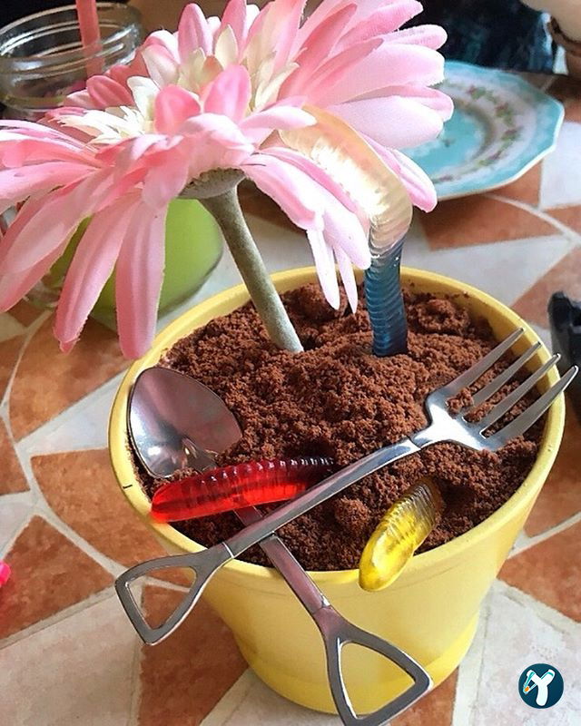 Humaliva Chocolate Coffee