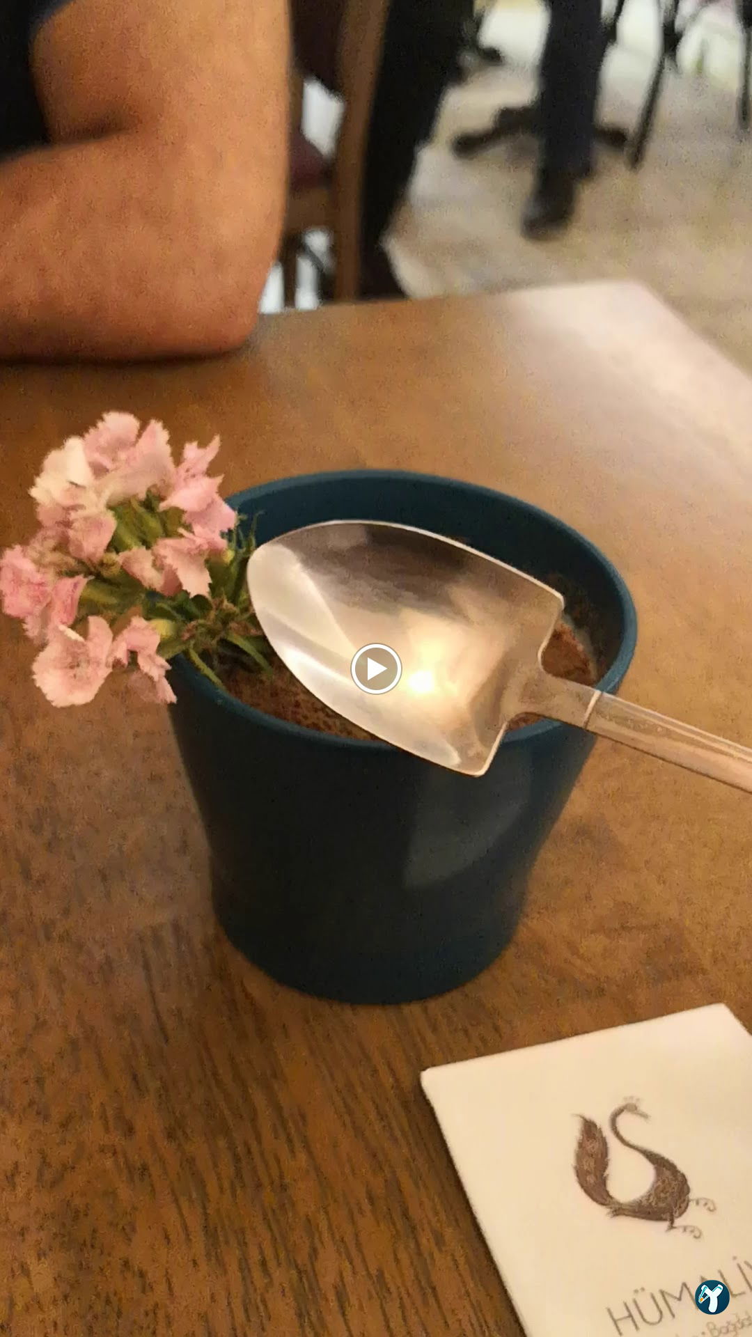 Humaliva Chocolate Coffee