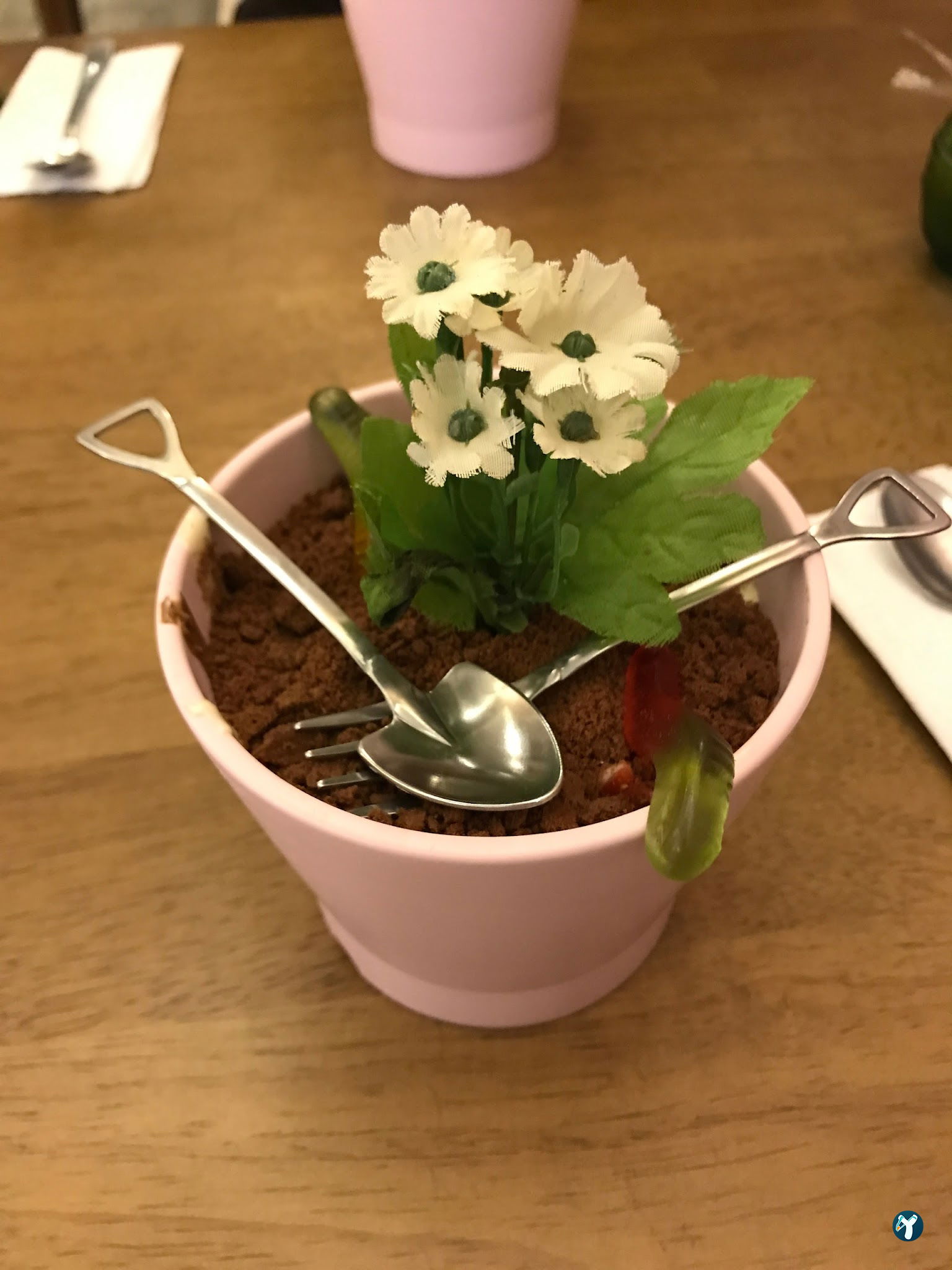 Humaliva Chocolate Coffee