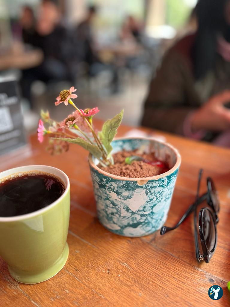 Humaliva Chocolate Coffee