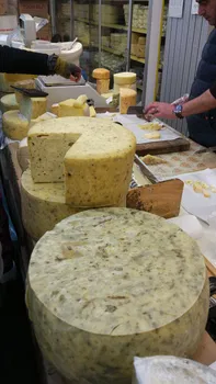 Barış Türkü Bar resimleri