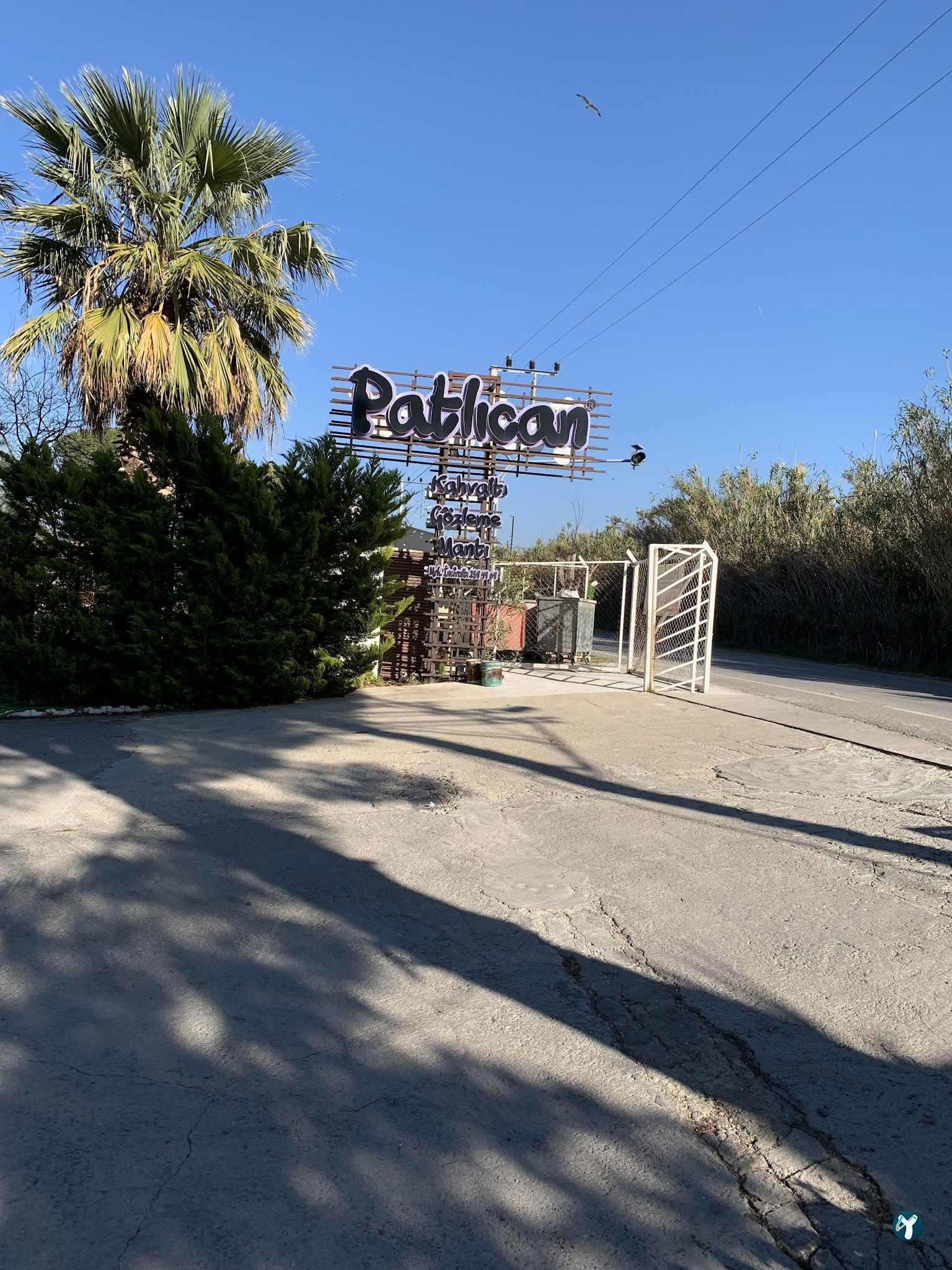 Patlican