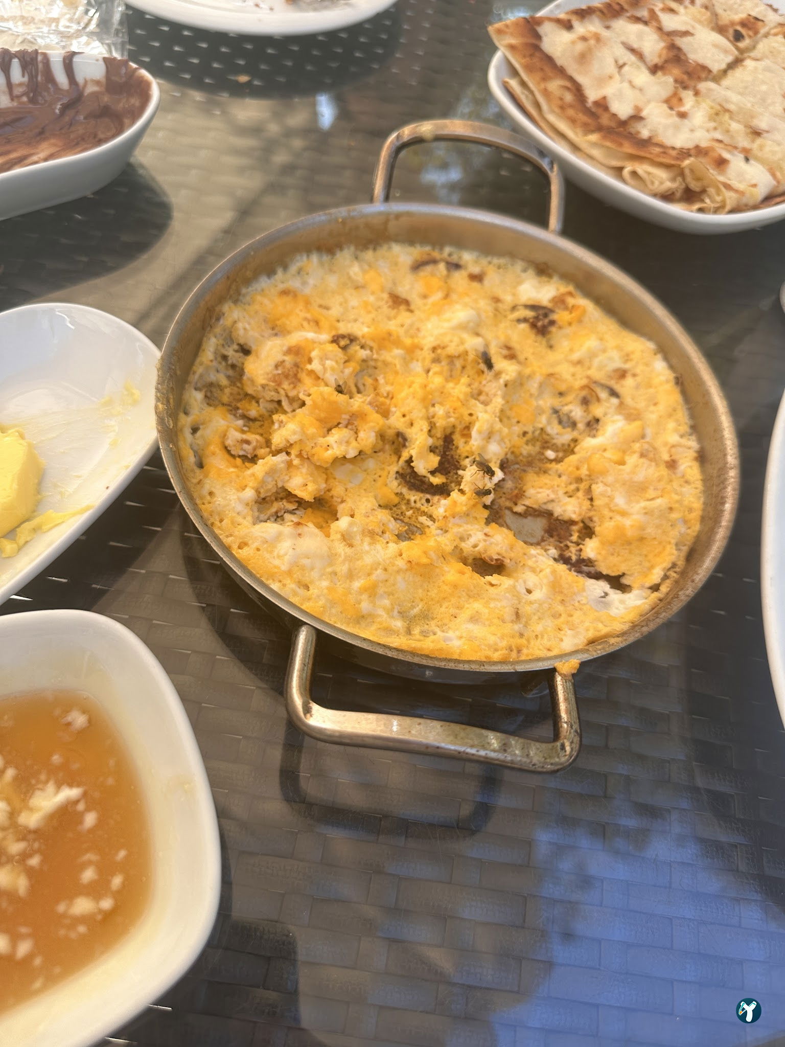 Patlican