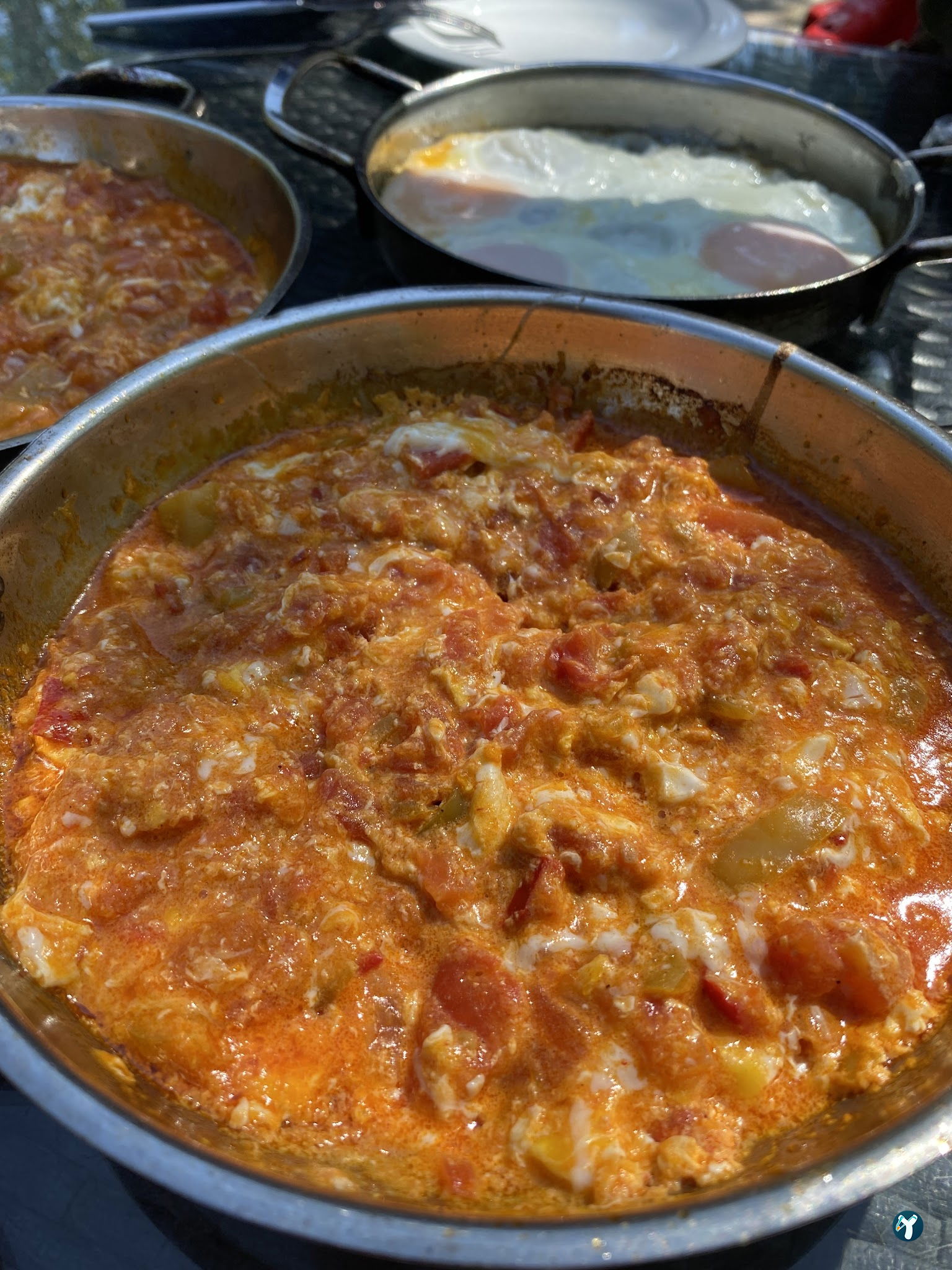 Patlican