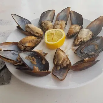 Meşhur midyeci Ahmet bostanlı resimleri