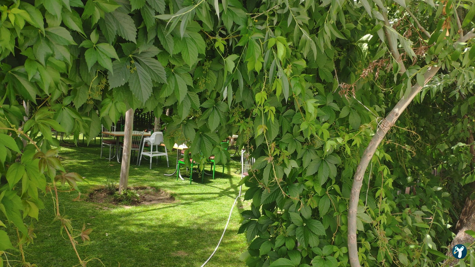 Bena Kahve Polatlı