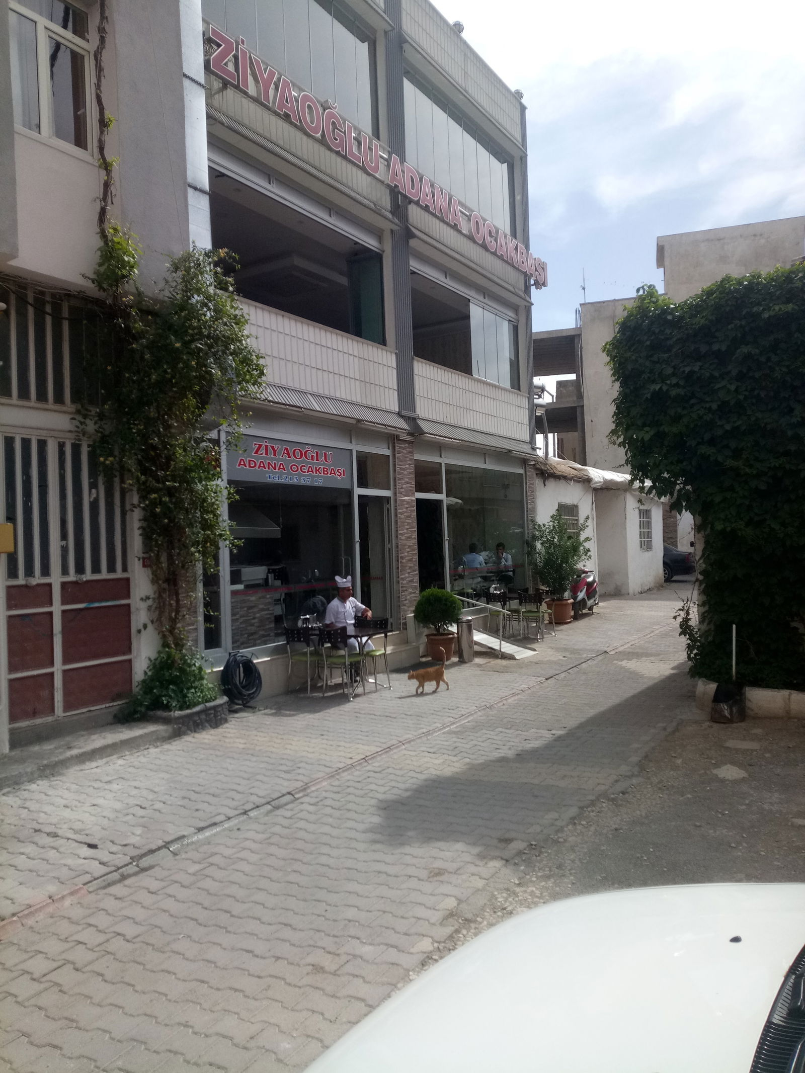 Ziyaoğlu Adana Ocakbaşı