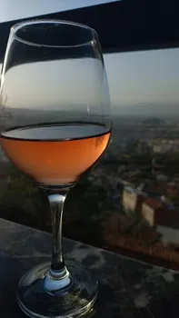 Maria Lounge resimleri