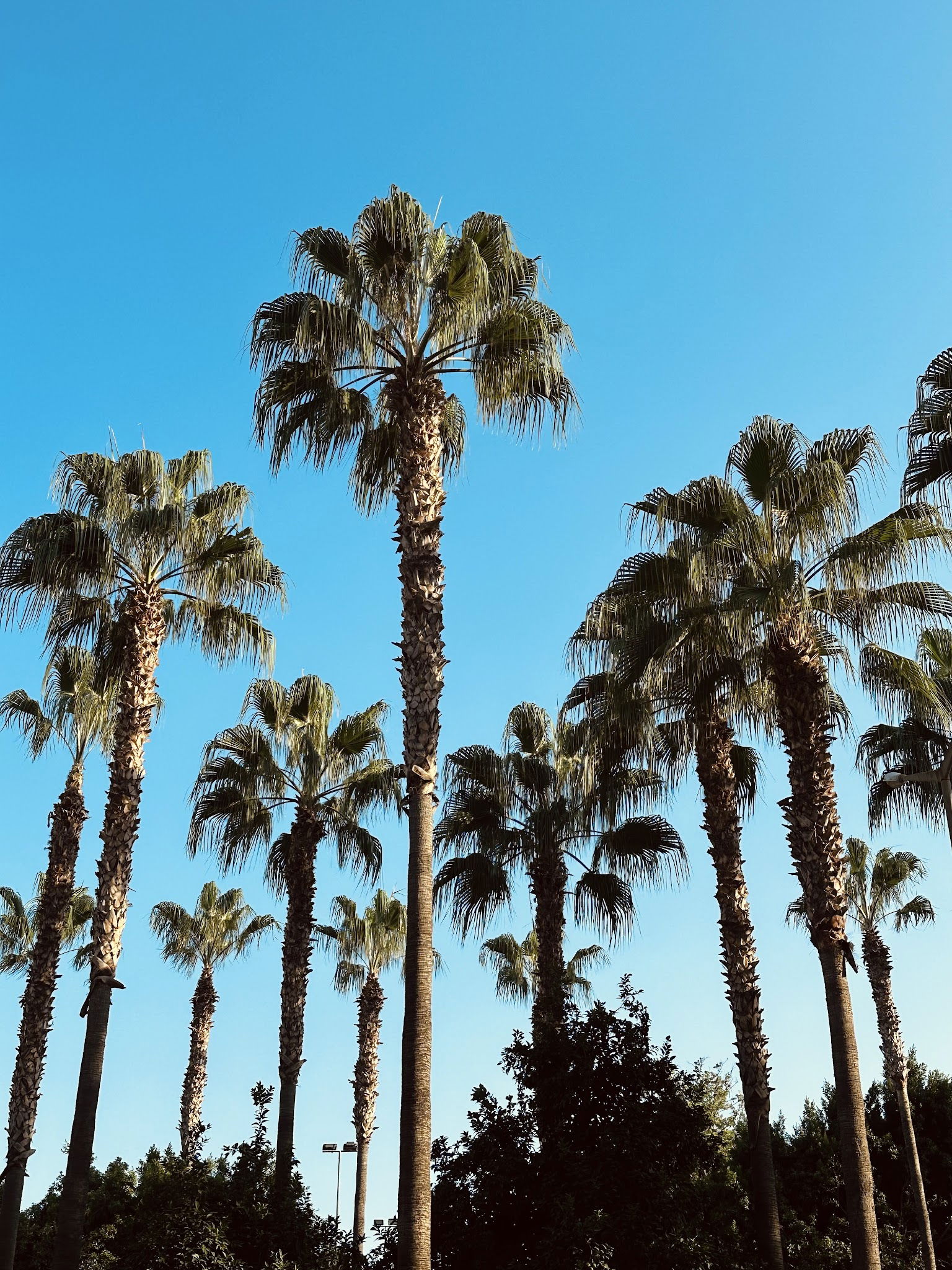 Colombia Coffee Mersin