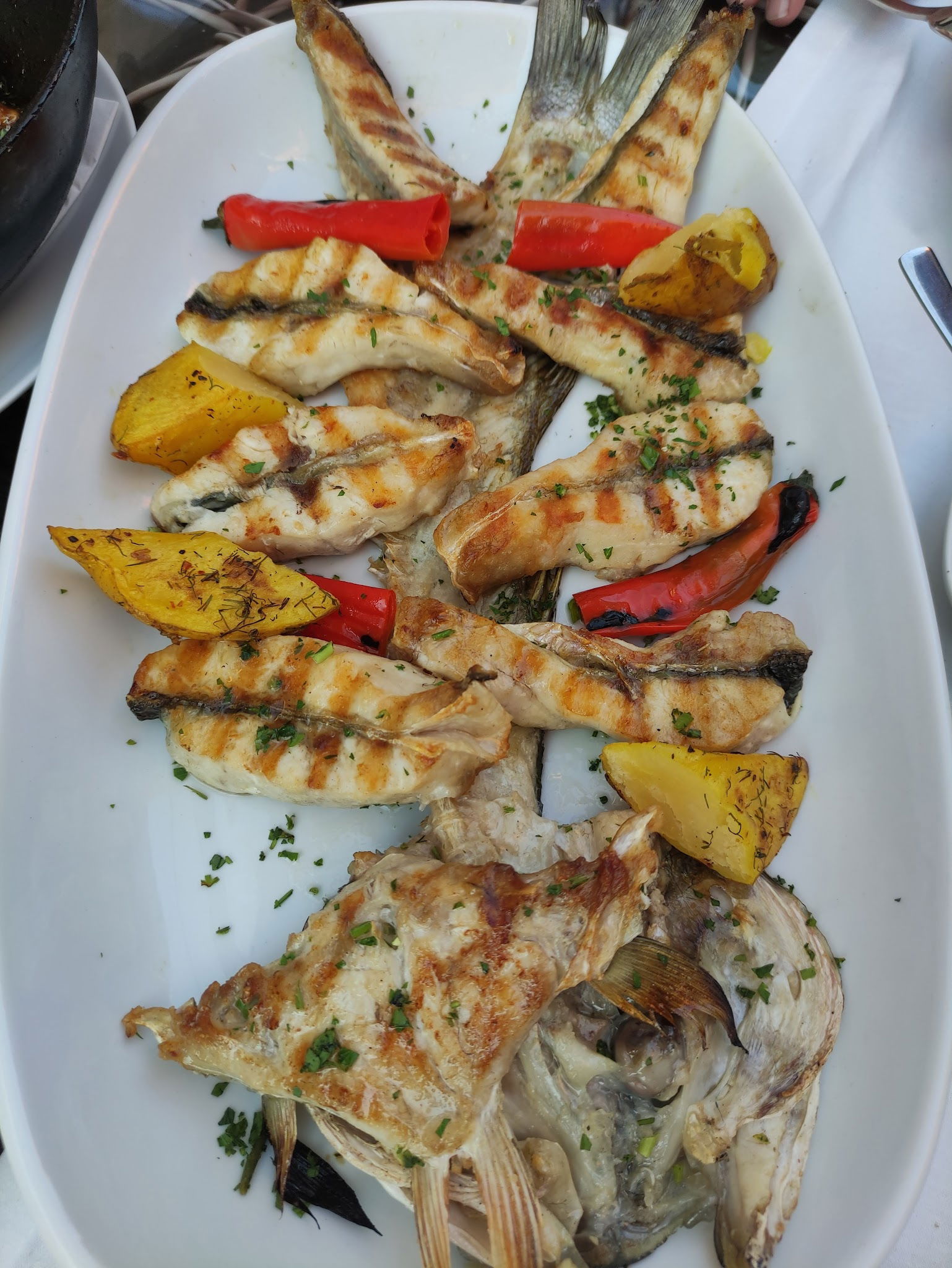 Kaleiçi Balık Barida