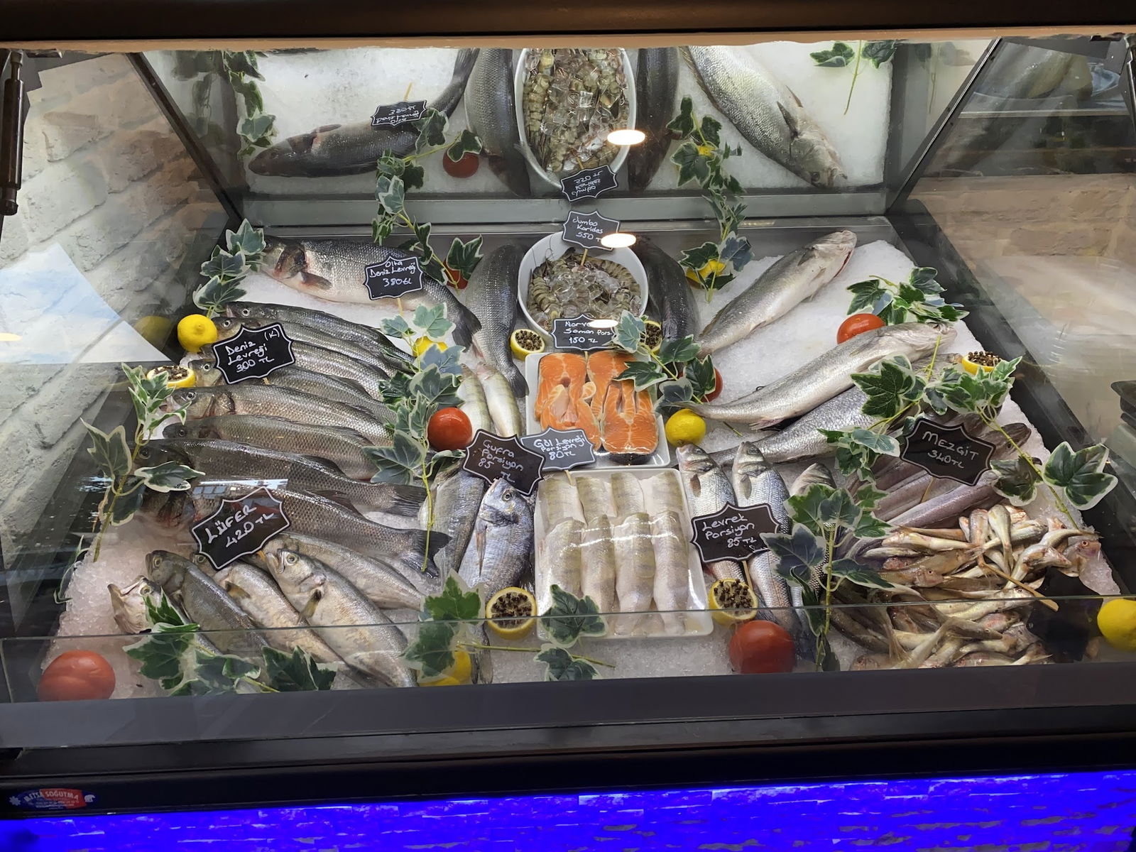 Kaleiçi Balık Barida