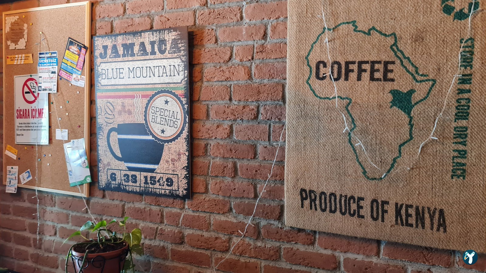 Üsküdar Cafein
