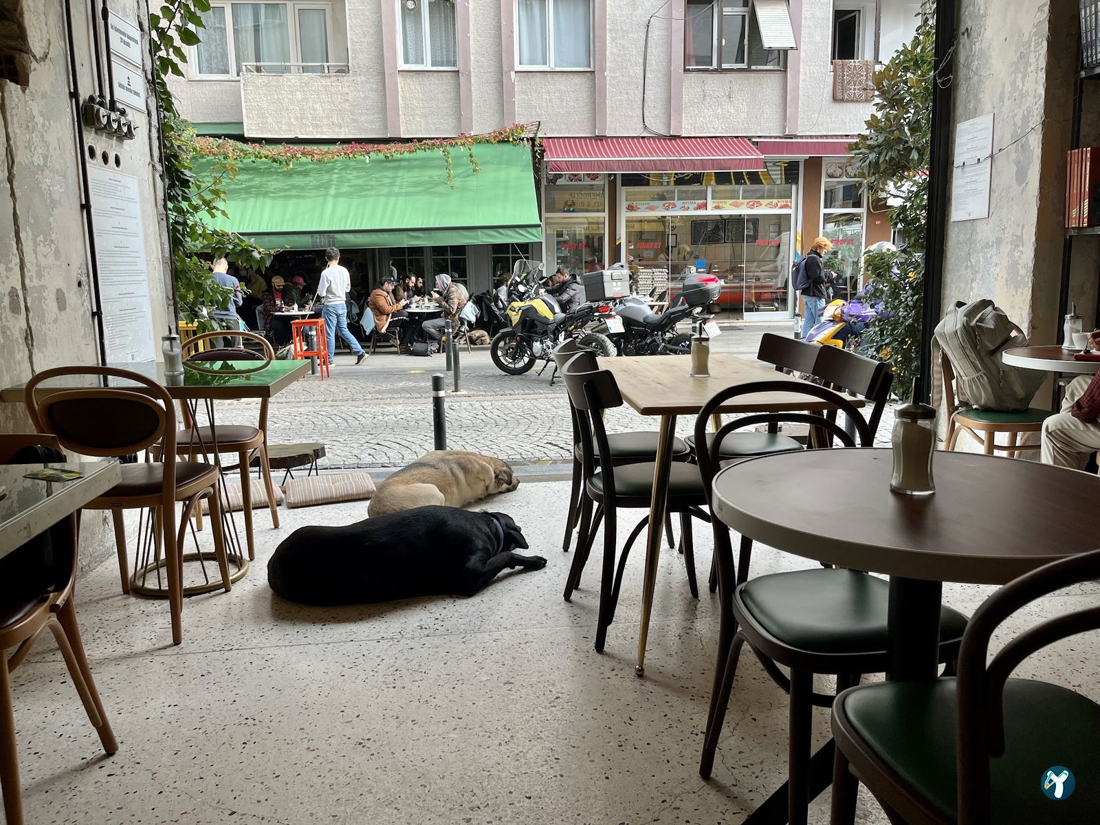 Küff Yeldeğirmeni