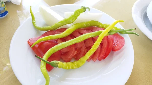 PAPATYA RESTORANT resimleri