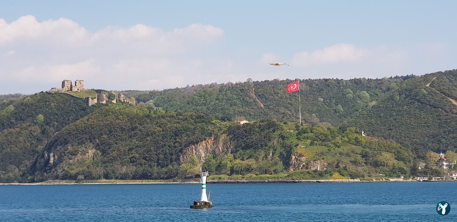 Kavak Kılçıklı Balık Restaurant