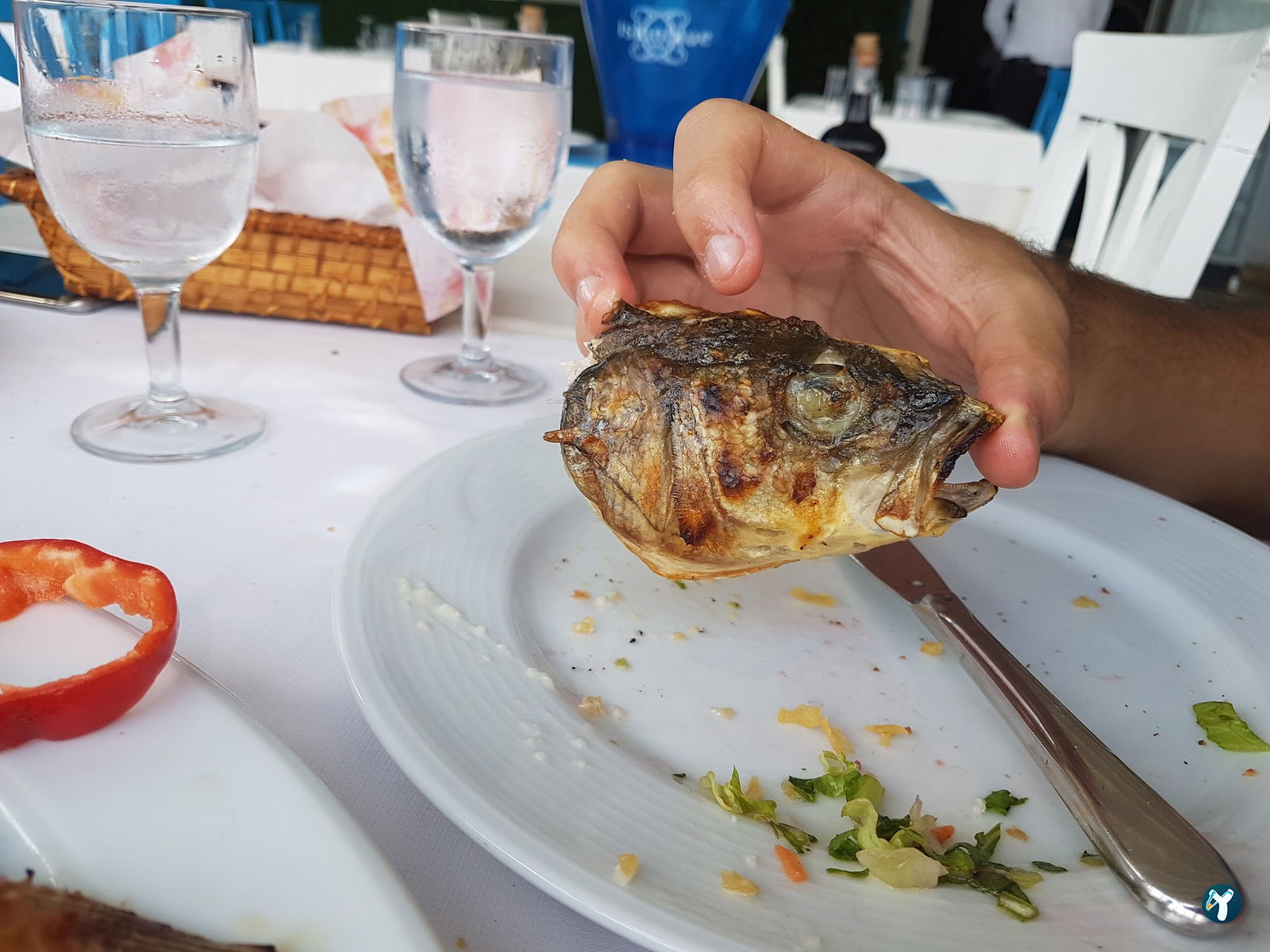 Kavak Kılçıklı Balık Restaurant