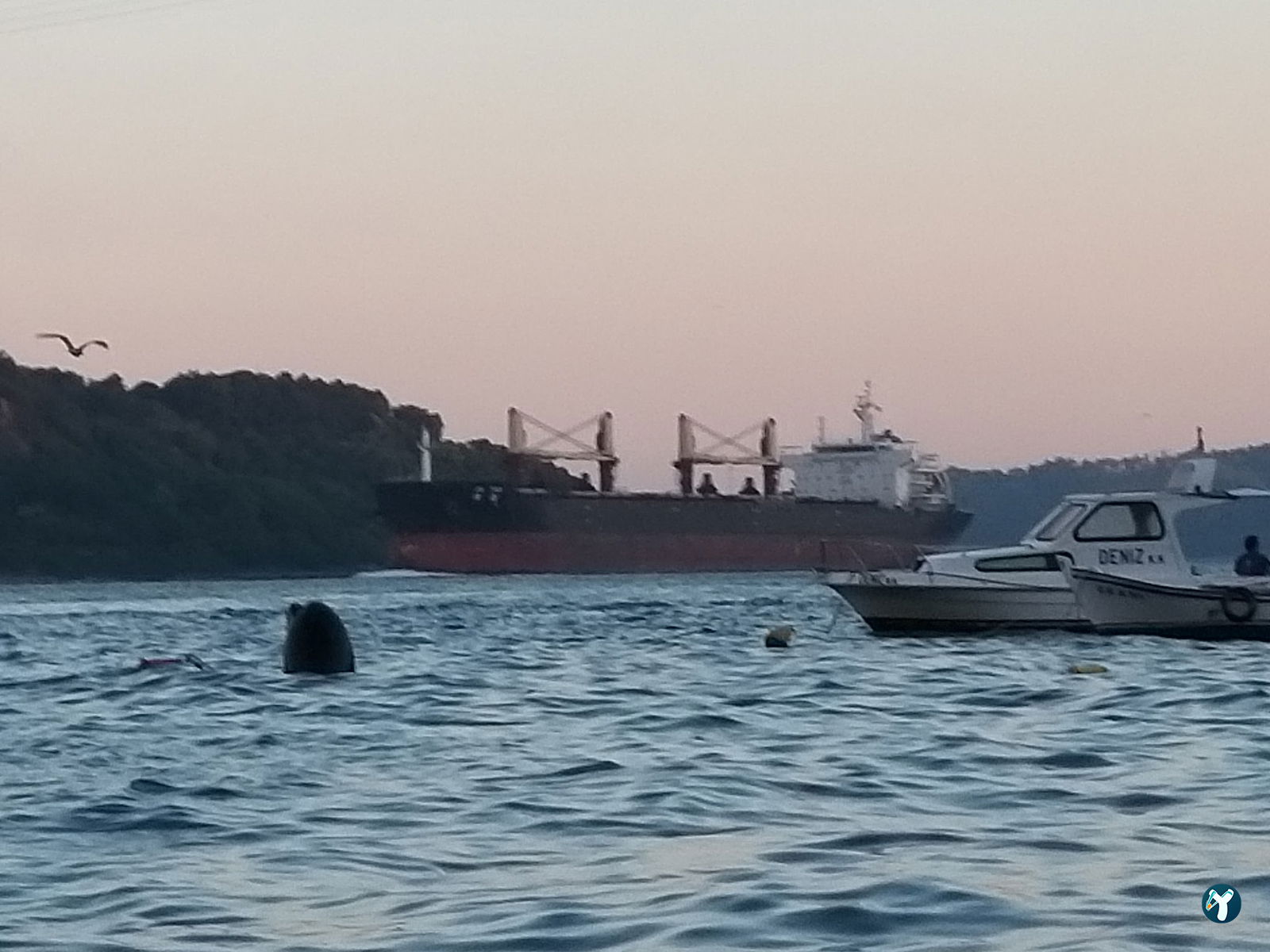 Kavak Kılçıklı Balık Restaurant