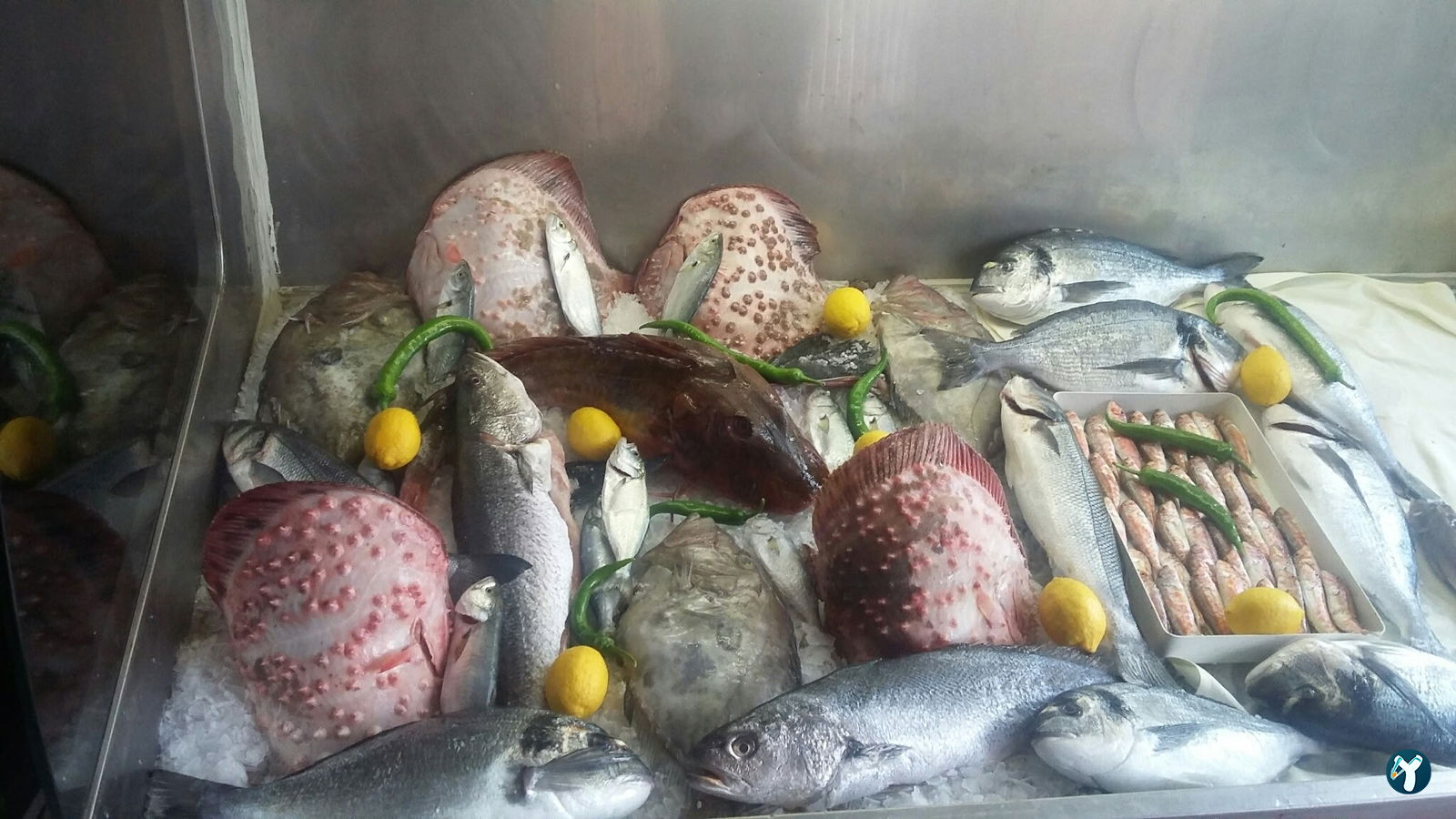 Kavak Kılçıklı Balık Restaurant