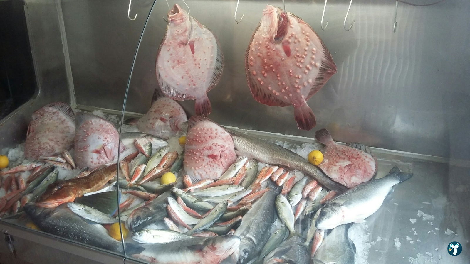 Kavak Kılçıklı Balık Restaurant