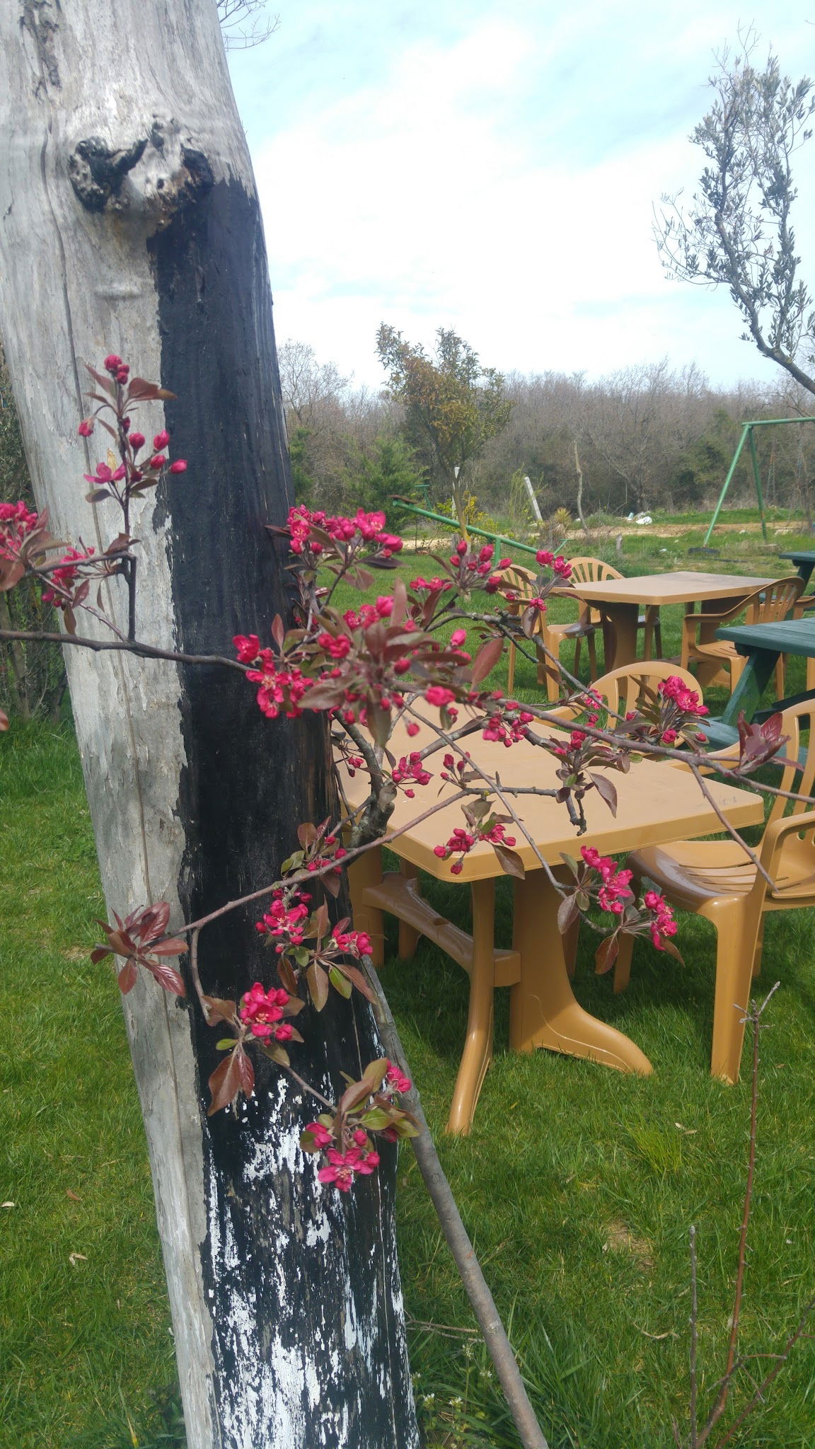 Gölbaşı Restaurant