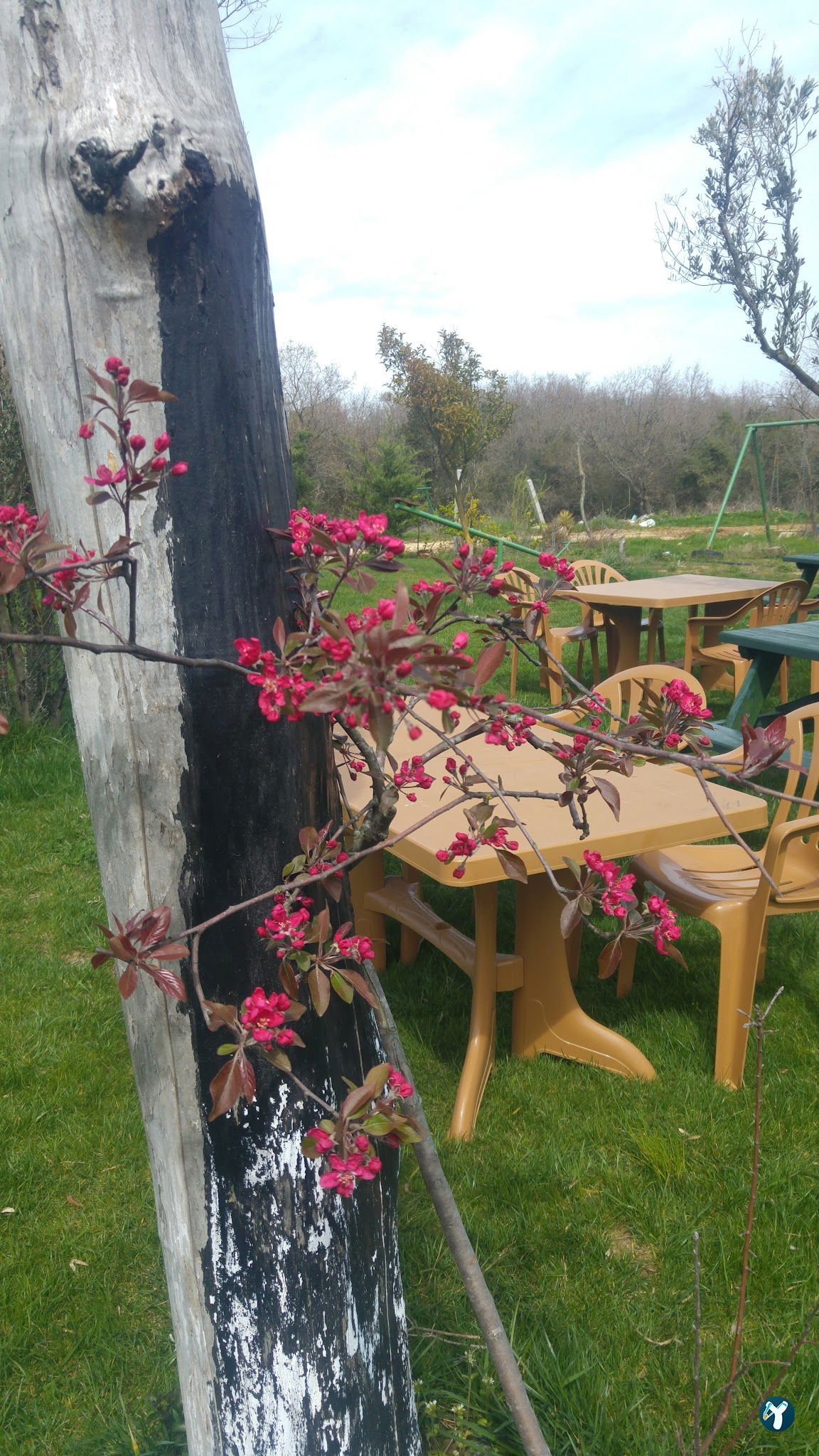 Gölbaşı Restaurant