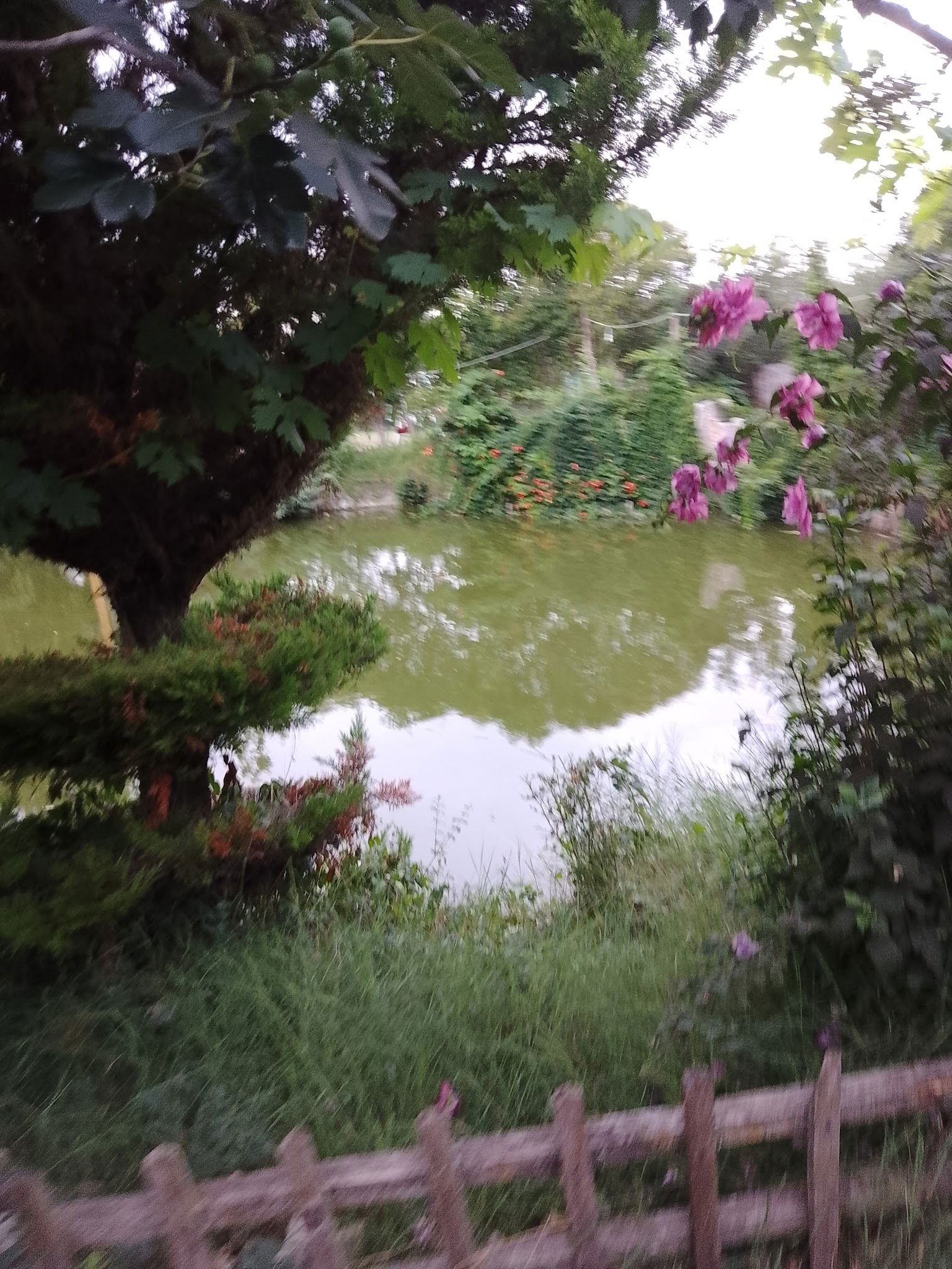 Gölbaşı Restaurant