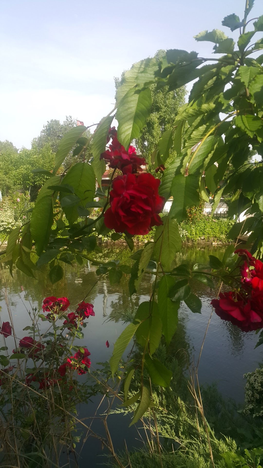 Gölbaşı Restaurant