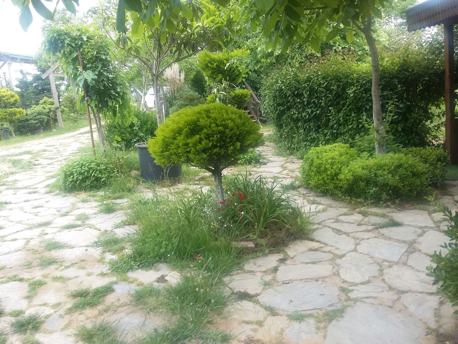 Gölbaşı Restaurant