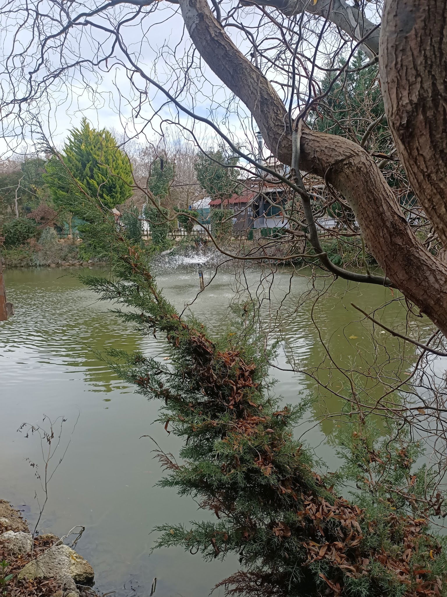 Gölbaşı Restaurant