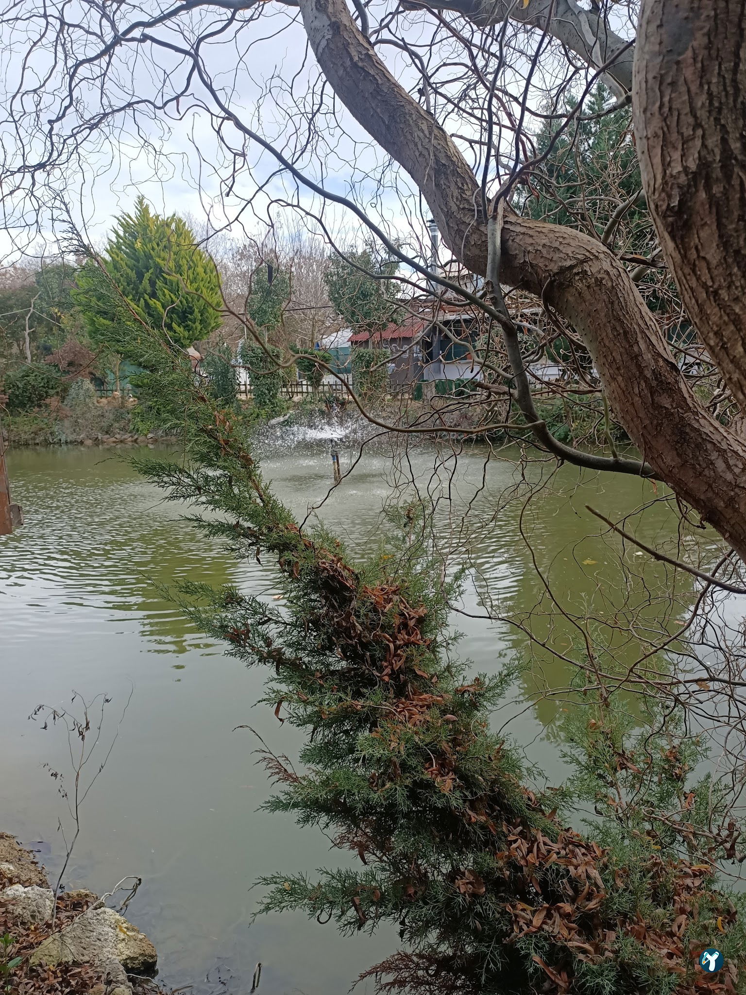 Gölbaşı Restaurant
