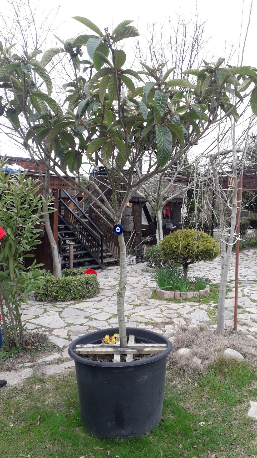 Gölbaşı Restaurant