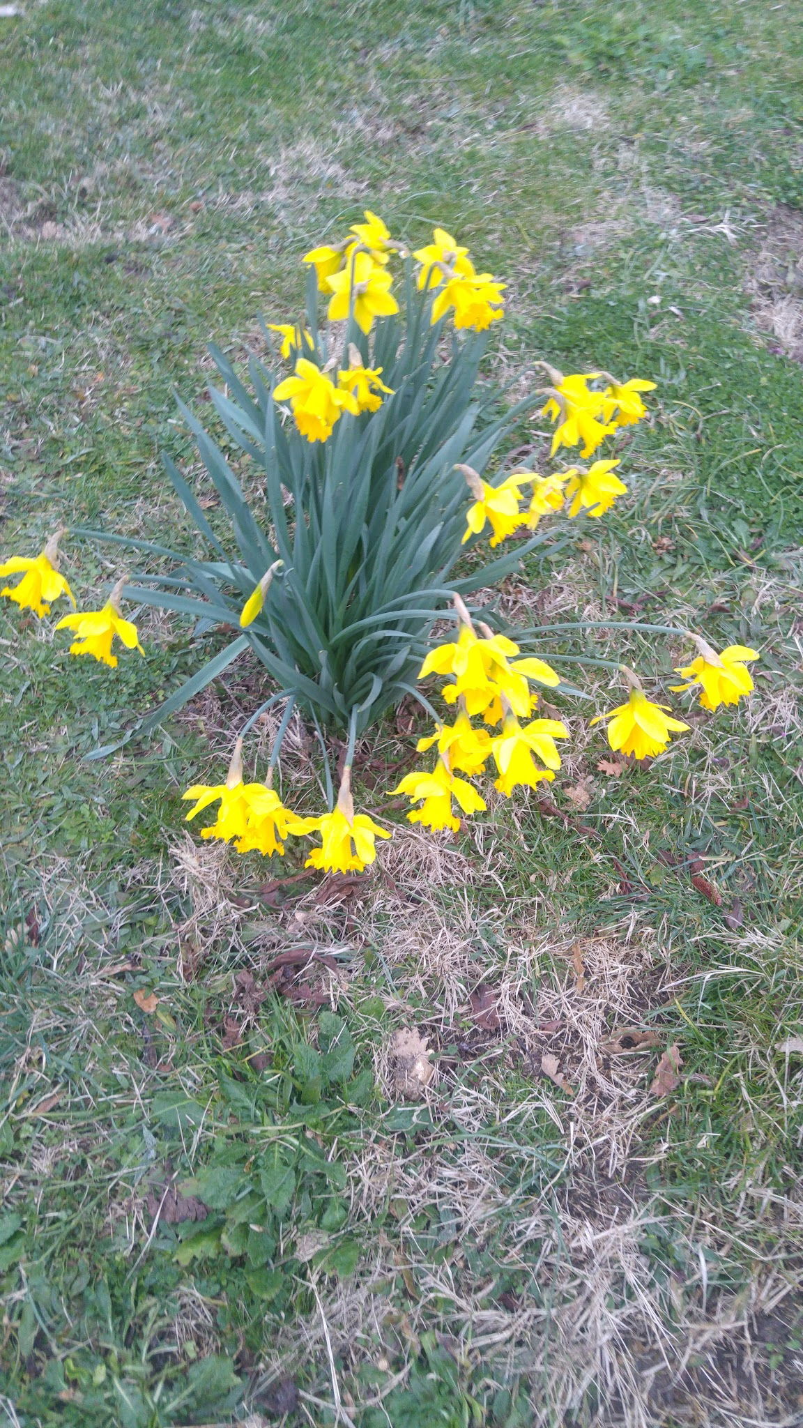 Gölbaşı Restaurant